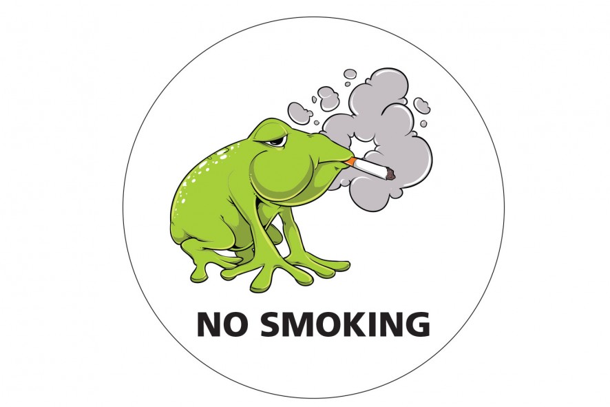  Smoking Frog