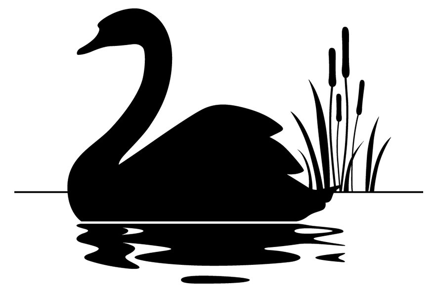  swan logo